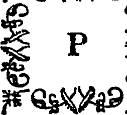 114/114500060002960_0.png