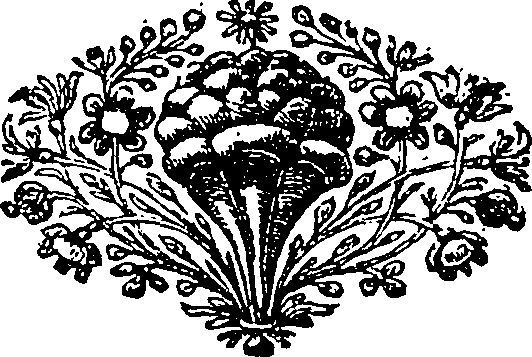 114/114520050000390_0.png