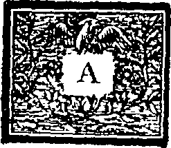 114/114530230104750_0.png