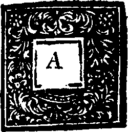 114/114540010204670_0.png