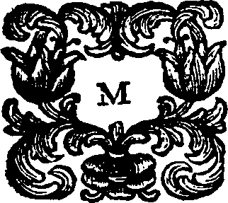 114/114540010205480_0.png