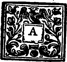 114/114540010205580_0.png