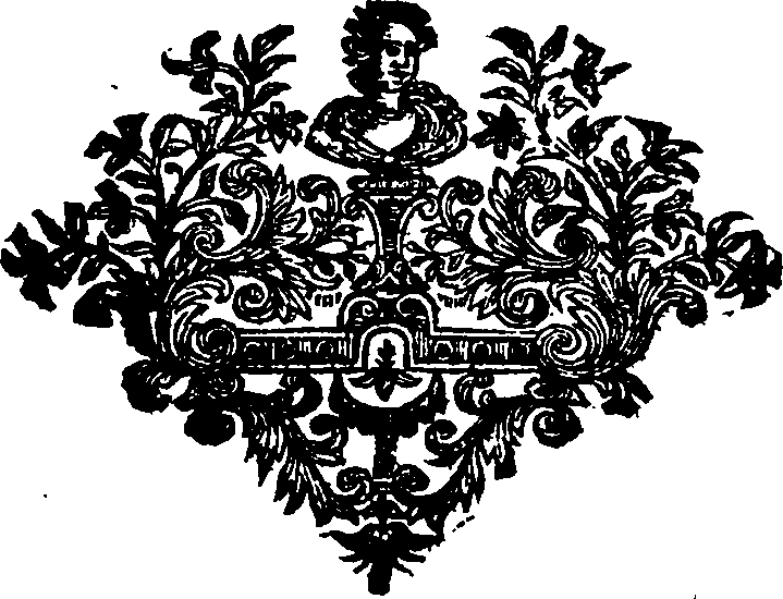 114/114540010205850_0.png