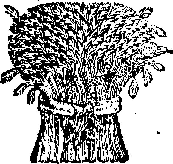 114/114580070000010_0.png