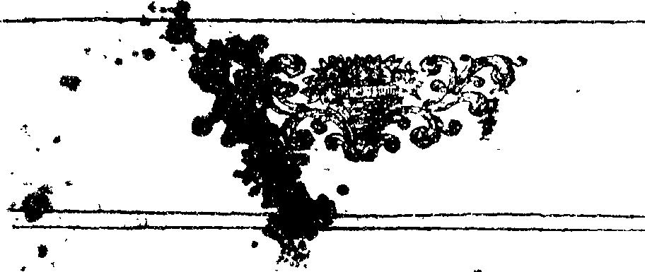 114/114590180000010_0.png