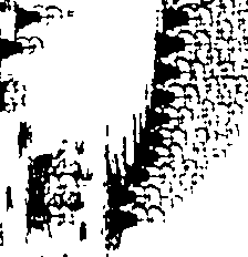 114/114600040000330_0.png