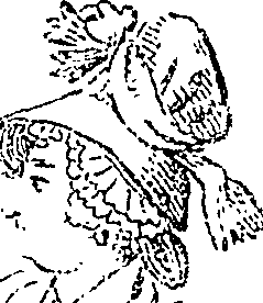 114/114720050000110_2.png