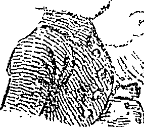 114/114720050000110_3.png