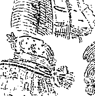 114/114720050000110_4.png