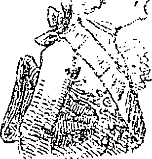 114/114720050000110_5.png