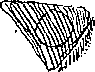 114/114720050000840_0.png
