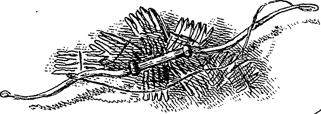 114/114720050001490_0.png