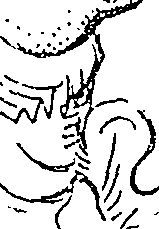 114/114720050001780_0.png