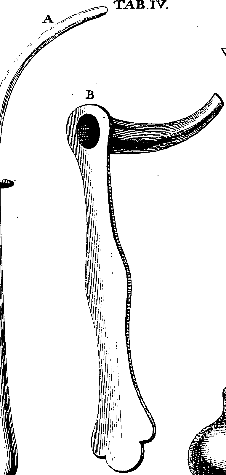 114/114750020004660_0.png