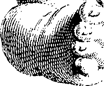 114/114750020004740_0.png