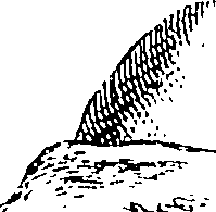 114/114750020004780_0.png