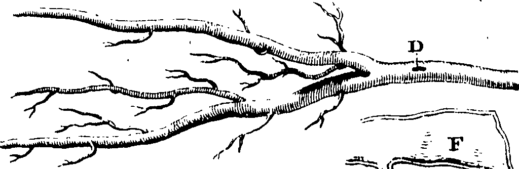 114/114750020004820_0.png