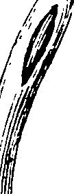114/114750020004860_1.png
