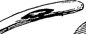 114/114750020004860_2.png