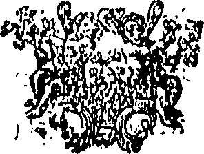 114/114760140000440_0.png