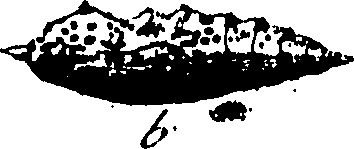 114/114760250000140_0.png