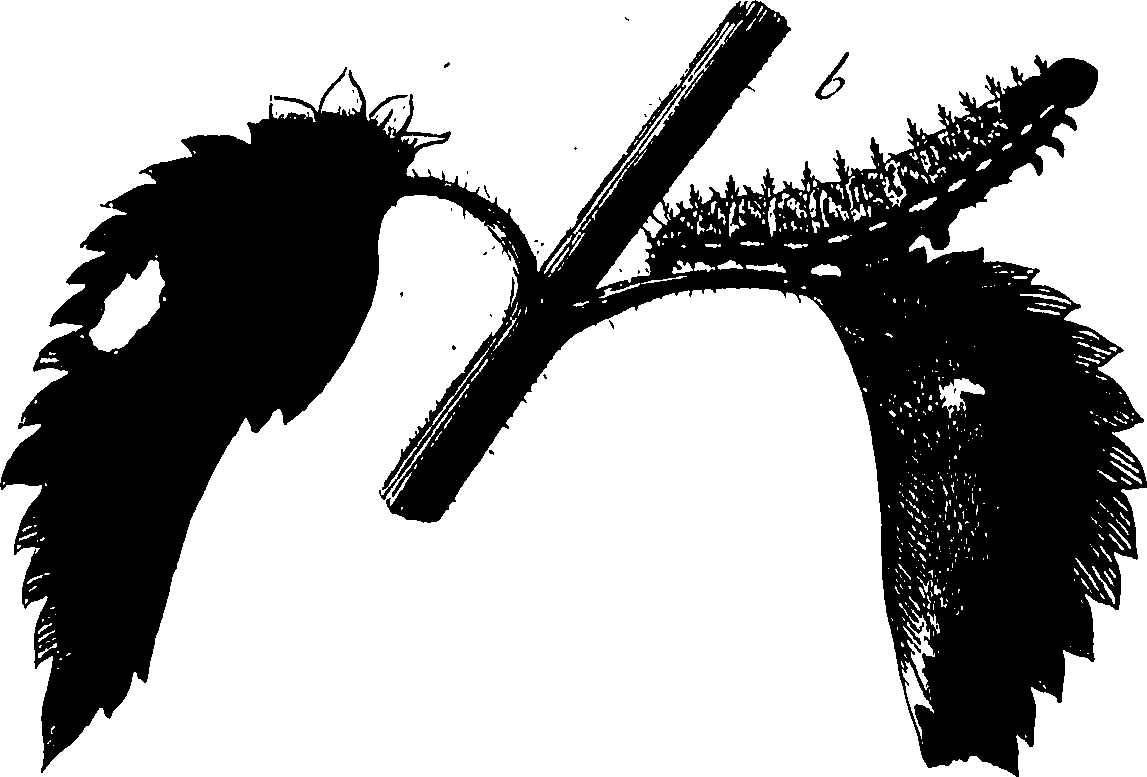 114/114760250000180_0.png