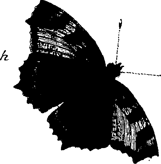 114/114760250000190_0.png