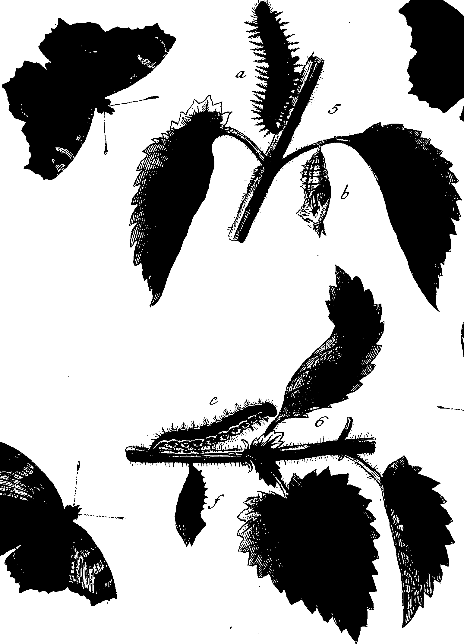 114/114760250000190_1.png