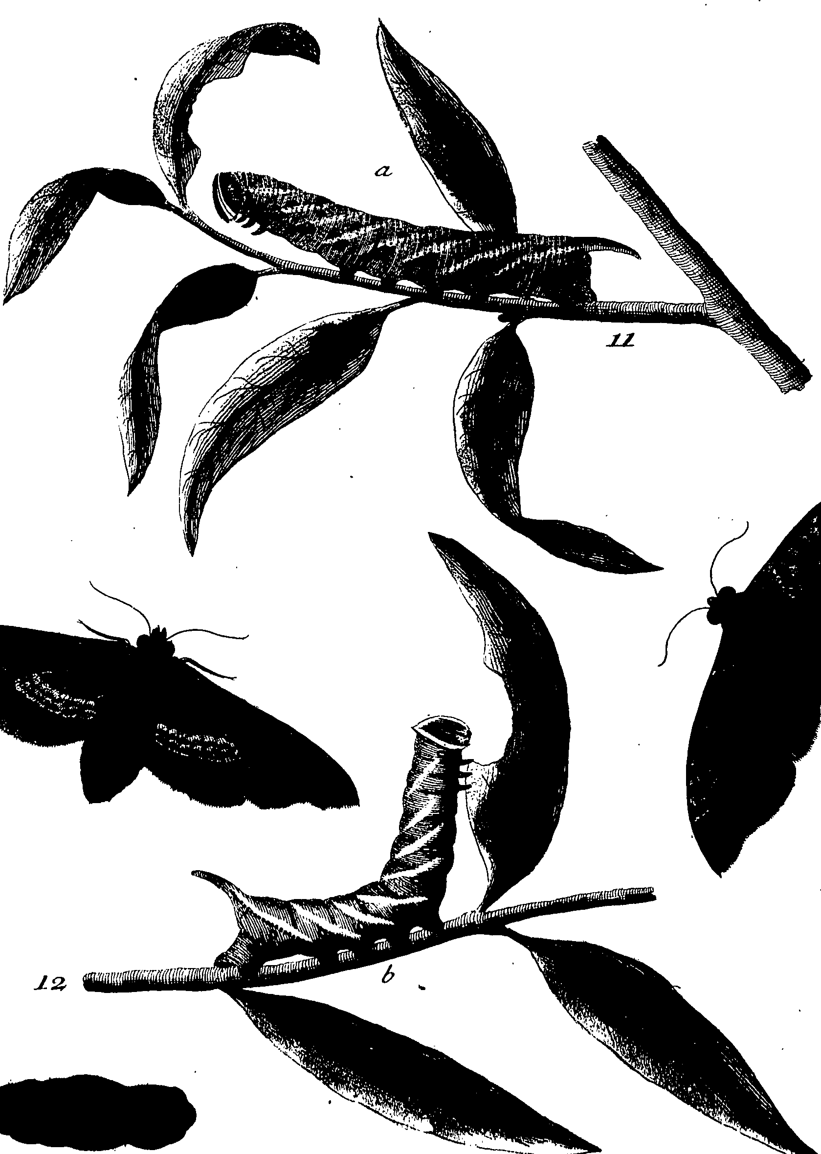 114/114760250000270_0.png