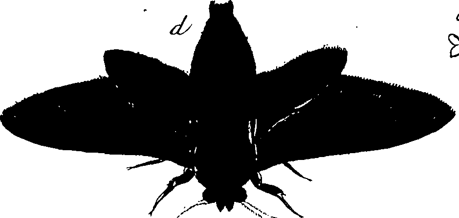 114/114760250000300_0.png