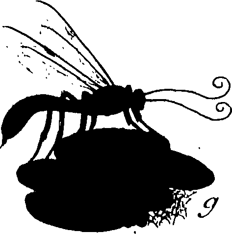 114/114760250000340_2.png