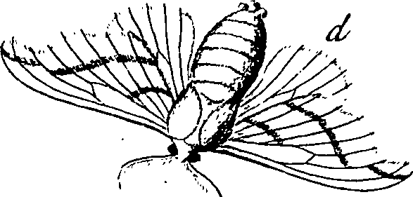 114/114760250000350_1.png