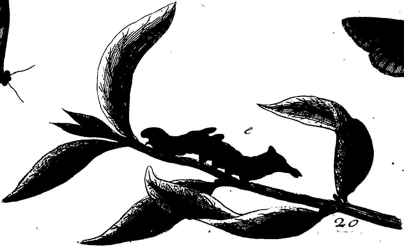 114/114760250000390_1.png