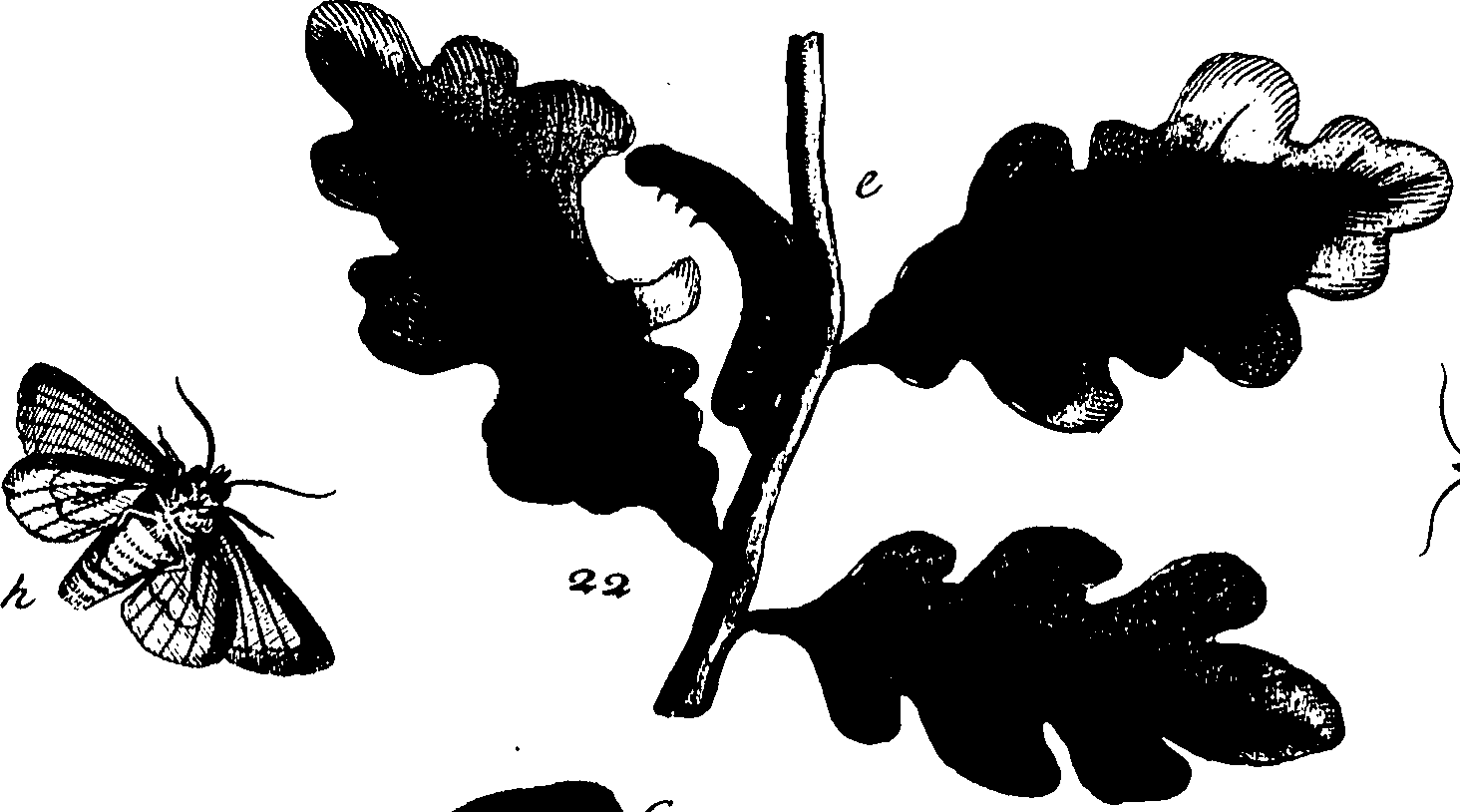 114/114760250000420_0.png