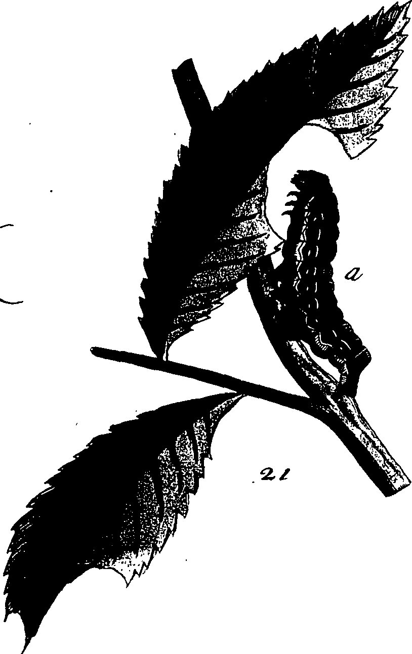 114/114760250000420_1.png