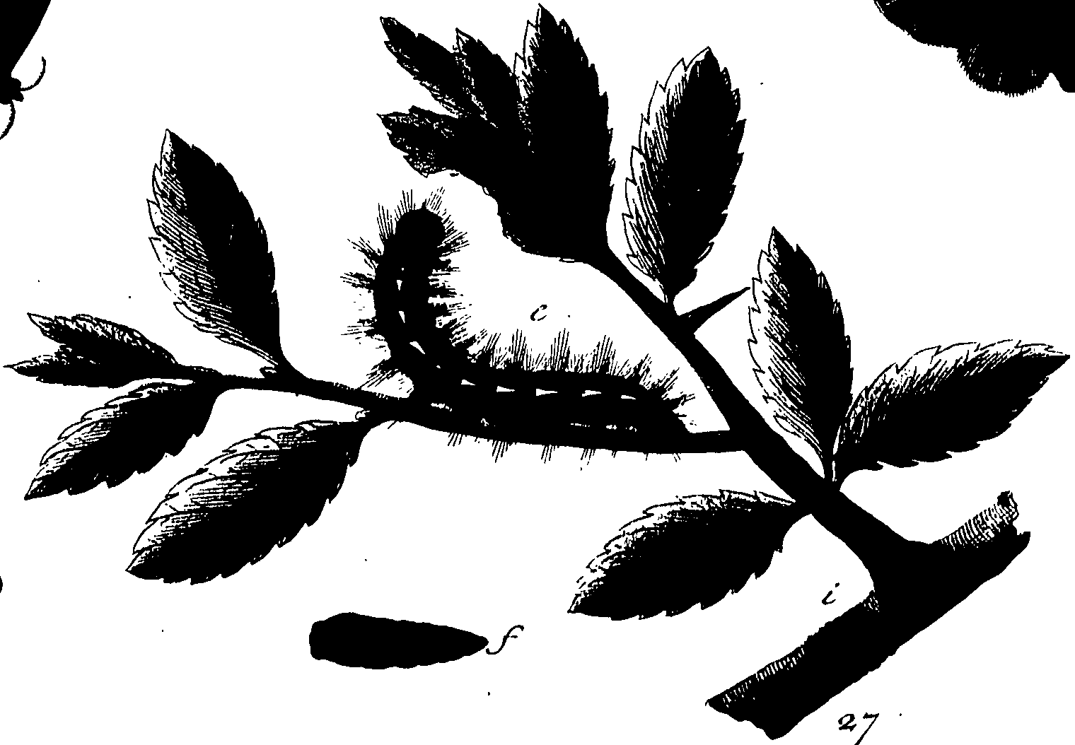 114/114760250000500_0.png