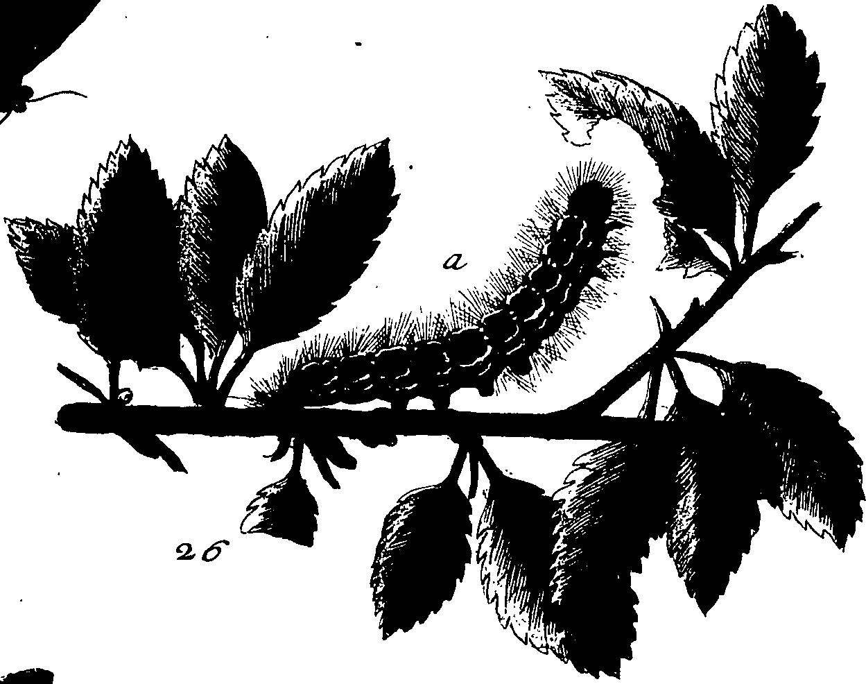 114/114760250000500_1.png