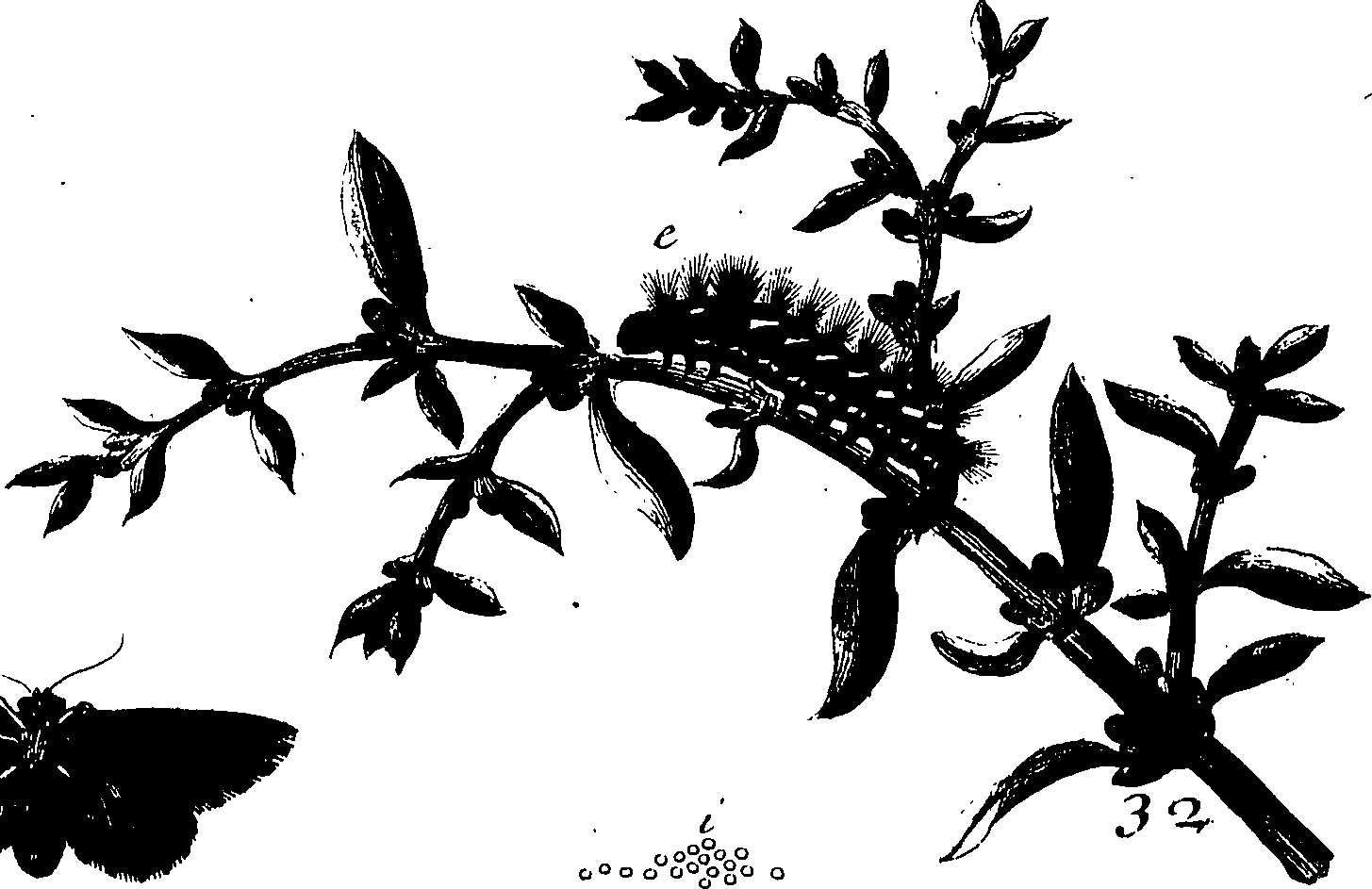 114/114760250000550_0.png
