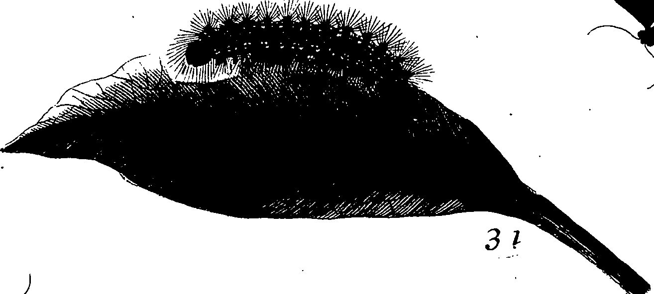 114/114760250000550_1.png