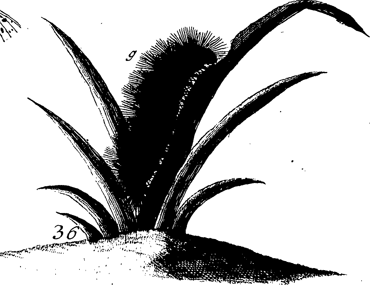 114/114760250000590_1.png