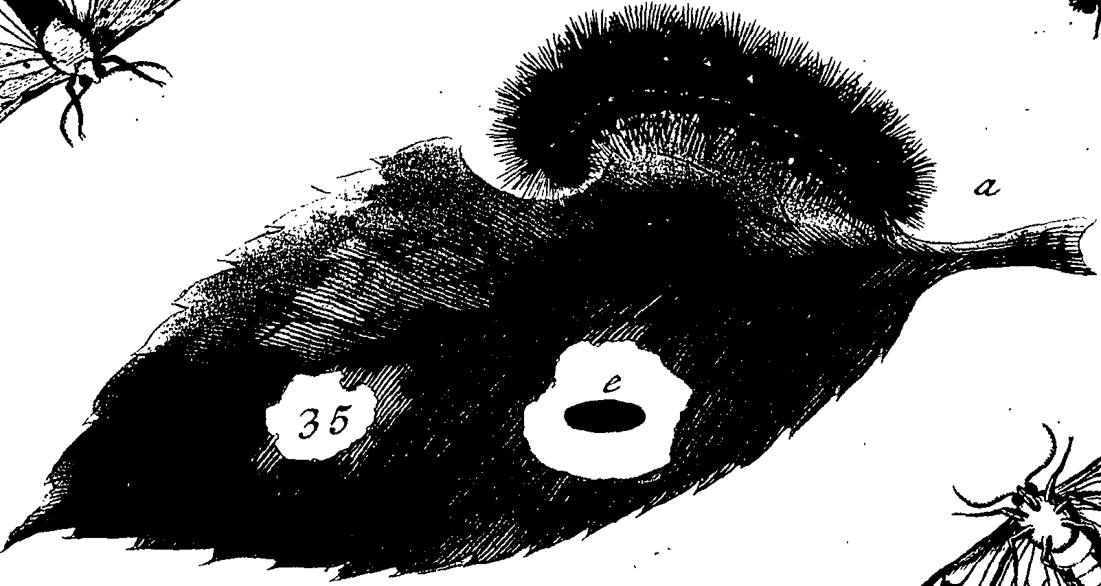 114/114760250000590_2.png