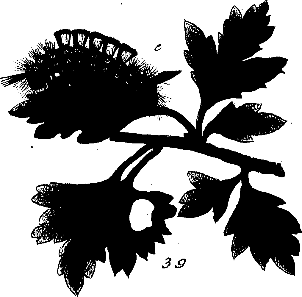 114/114760250000630_1.png