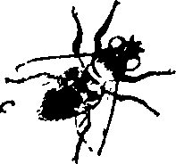 114/114760250000660_0.png