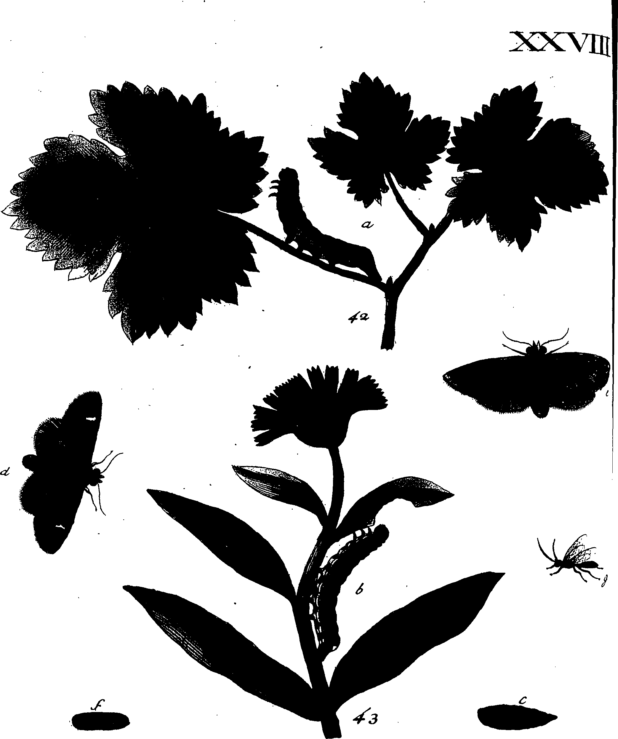 114/114760250000670_1.png