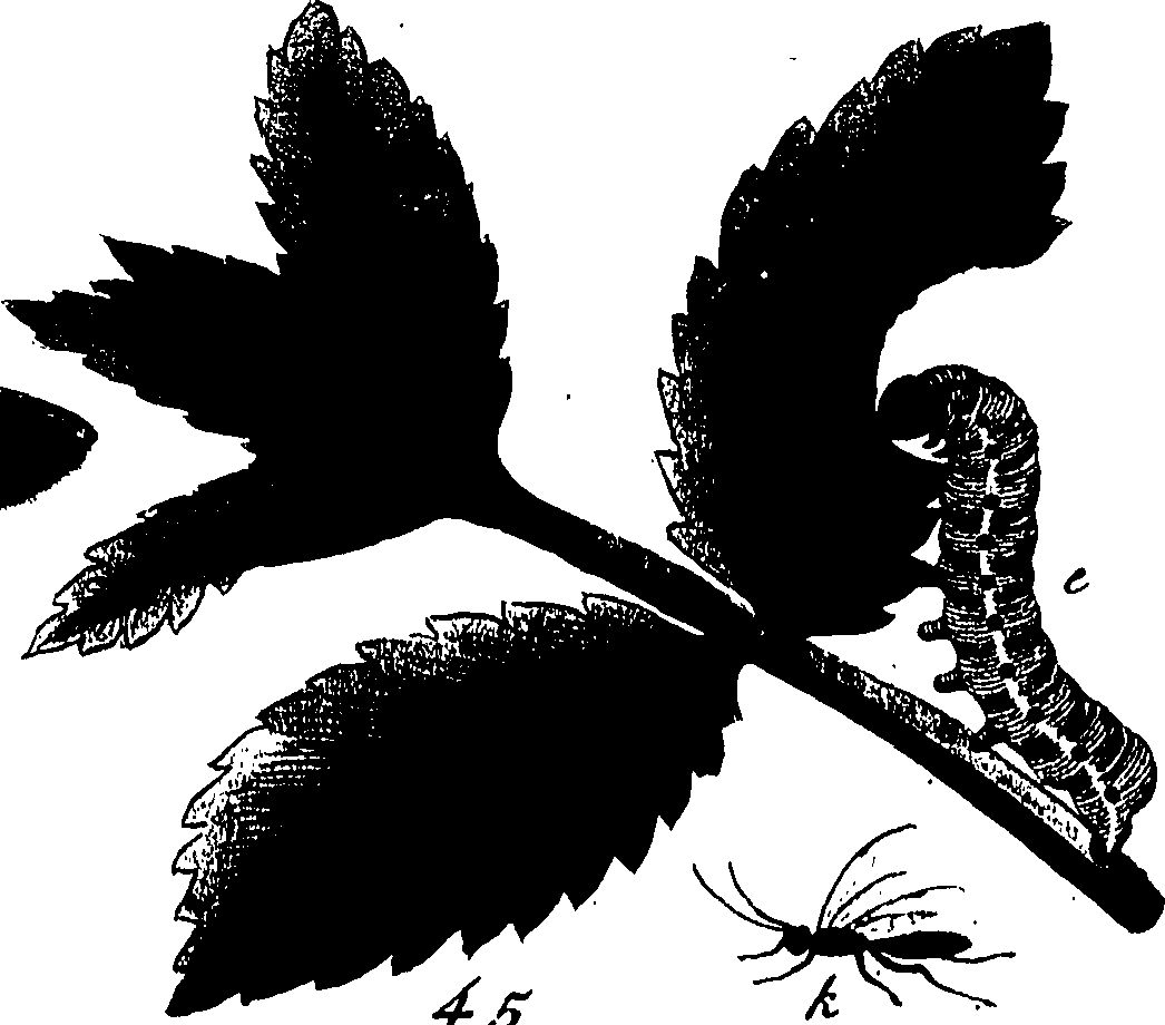 114/114760250000700_0.png