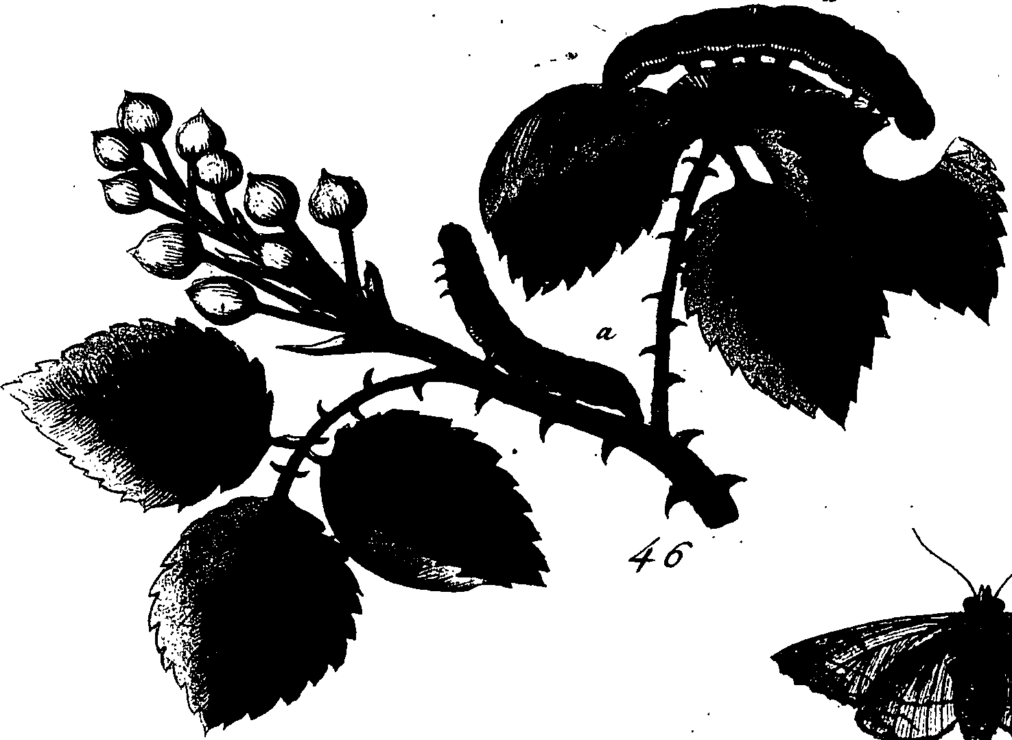 114/114760250000710_1.png