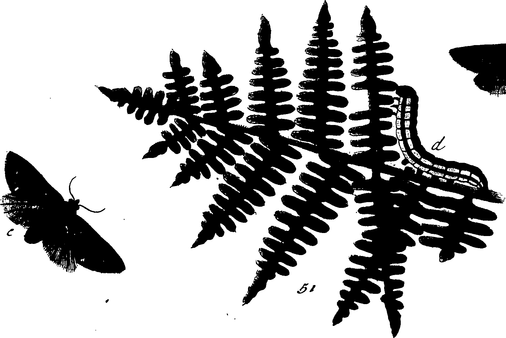 114/114760250000750_0.png