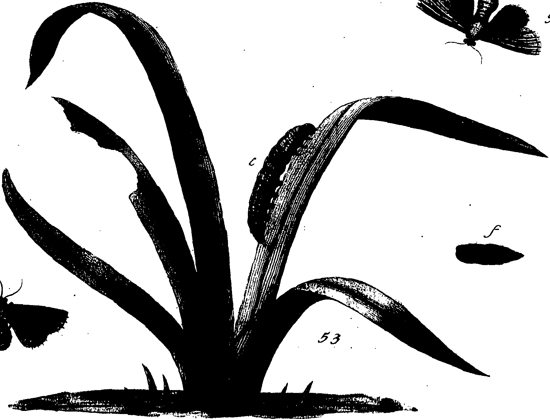 114/114760250000780_0.png