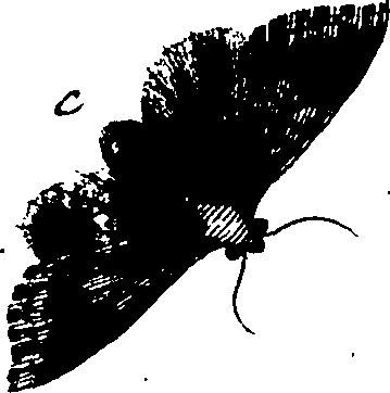 114/114760250000780_1.png