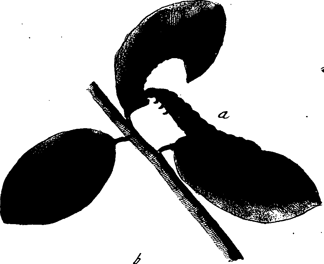 114/114760250000780_2.png
